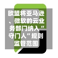 欧盟将亚马逊、微软的云业务部门纳入“守门人”规则监管范围-第2张图片