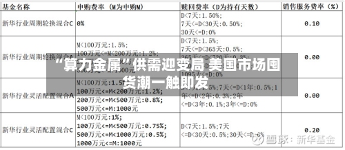 “算力金属	”供需迎变局 美国市场囤货潮一触即发-第1张图片