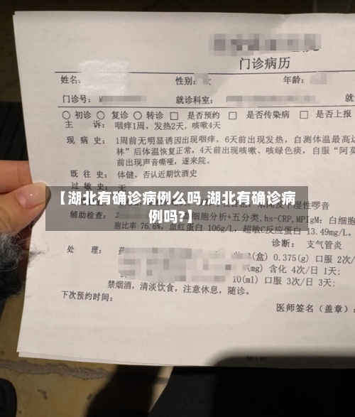 【湖北有确诊病例么吗,湖北有确诊病例吗?】-第2张图片