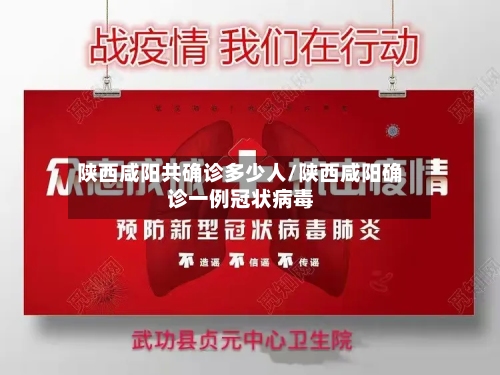 陕西咸阳共确诊多少人/陕西咸阳确诊一例冠状病毒-第1张图片