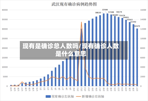 现有是确诊总人数吗/现有确诊人数是什么意思-第1张图片