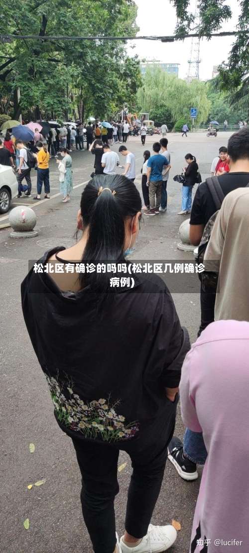 松北区有确诊的吗吗(松北区几例确诊病例)-第1张图片