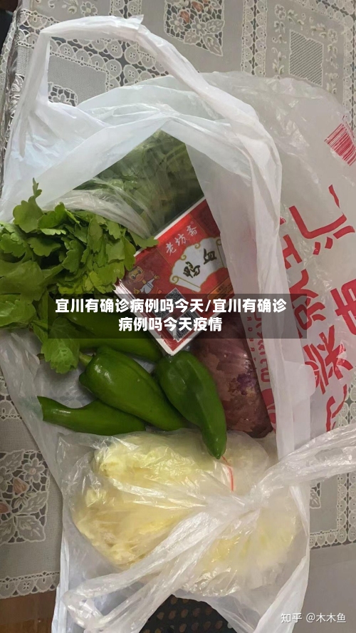 宜川有确诊病例吗今天/宜川有确诊病例吗今天疫情-第1张图片